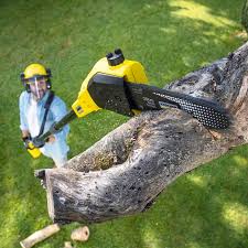 Reliable New Square, NY Tree Services Solutions